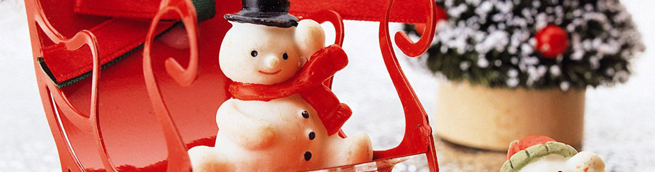 Digital Camera Digital Camera